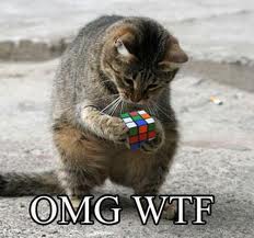 Cat with rubicks cube
